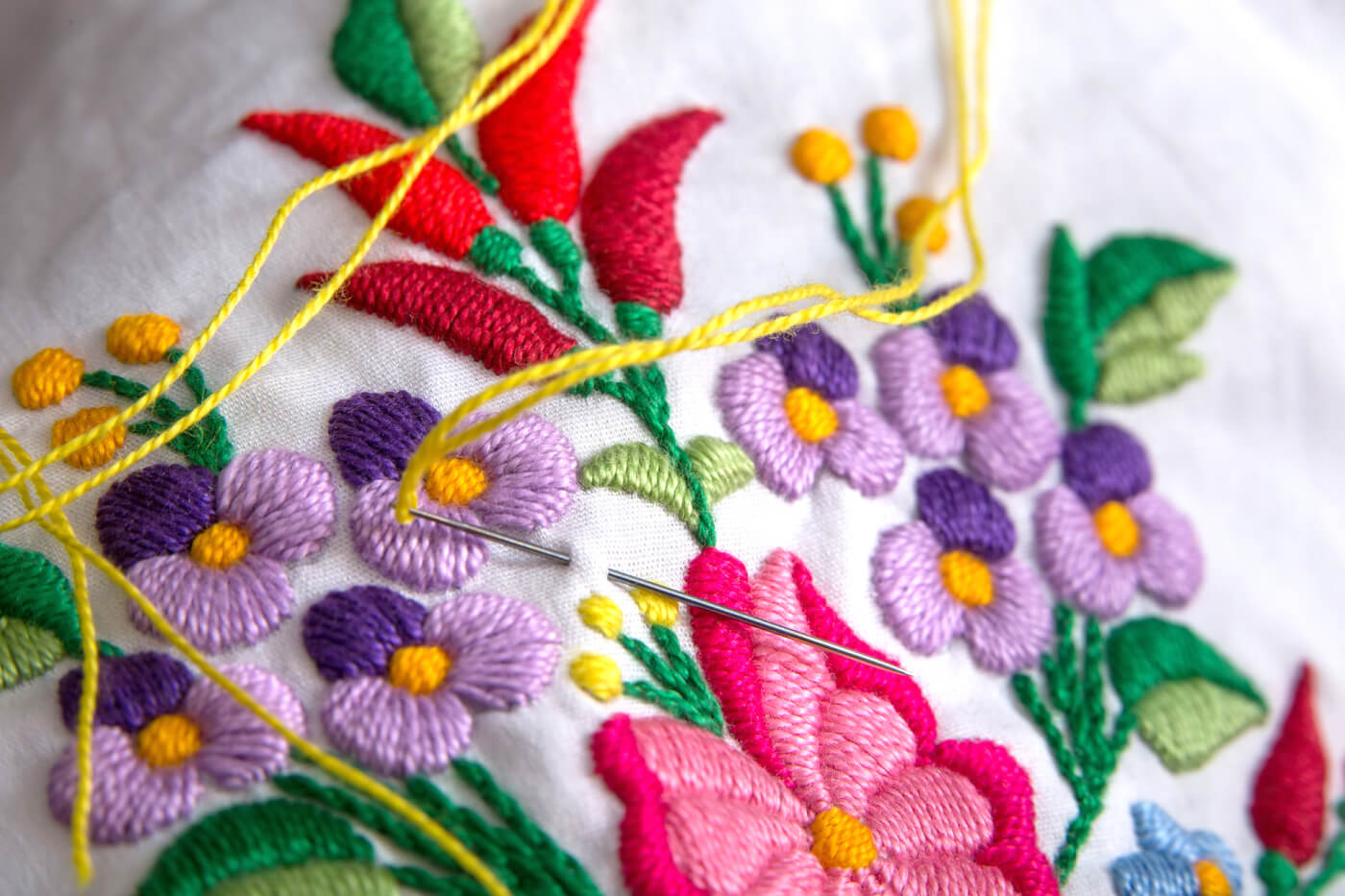 Embroiderers’ Guild of America Board of Directors and Leadership