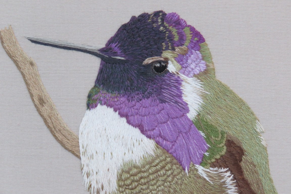 Dimensions Mini Needlepoint Kit 5x5-hummingbird Drama Stitched In Thread  : Target