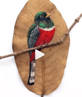 Social Post Can be Viewed On Instagram