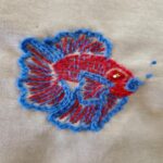 betta fish