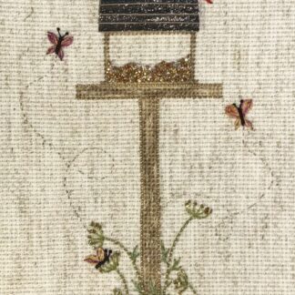 Online Studio Class: Hello, Mr. Cardinal