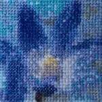 egasal 2026 08 august blue flower skm