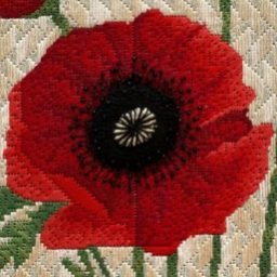 Profile picture of Lois Threlkeld