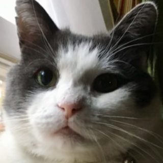 Profile picture of njbrighton