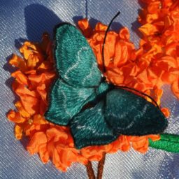 Profile picture of Susan Andrews