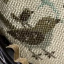 Profile picture of Debra Shanler