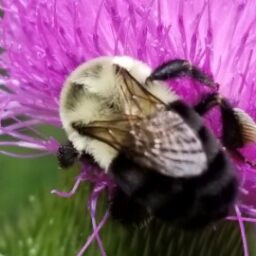 Profile picture of Dawn Legier