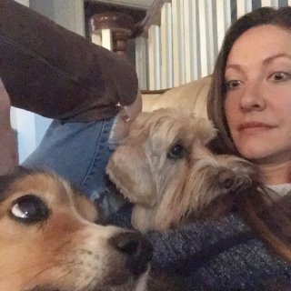 Profile picture of Rachel Carroll