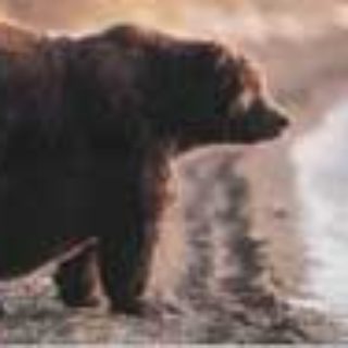 Profile picture of Sylvia Tsang