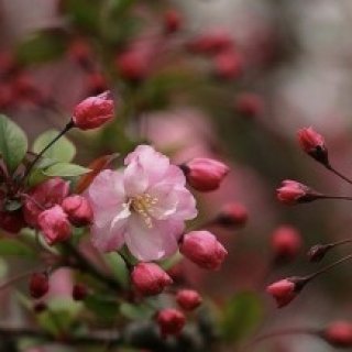 Profile picture of Cynthia Hansen