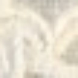 Profile picture of Dawn Robinson