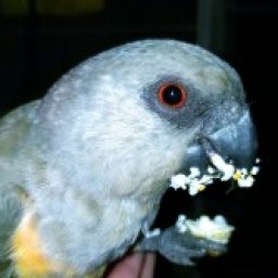 Profile picture of Caitlyn Metcalf