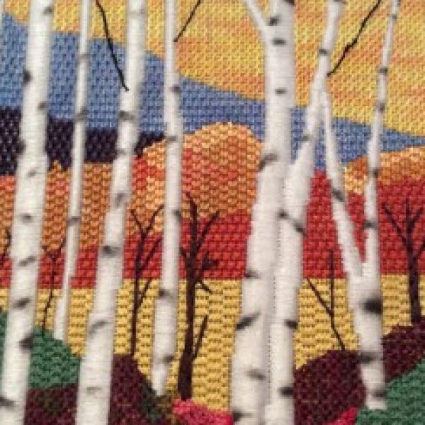 Profile picture of Debbie Tennis