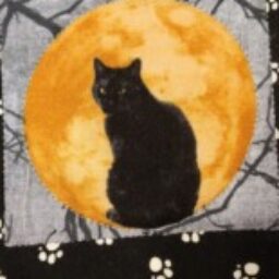 Profile picture of Winifred Halsey