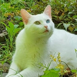 Profile picture of Jane Bartik