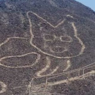 Profile picture of Gwen Minnier