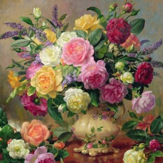 Profile picture of Cheyenne McDaniel