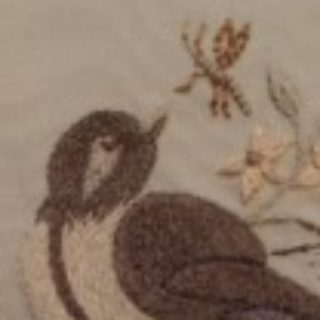 Profile picture of Luanne Roberts