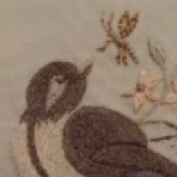 Profile picture of Luanne Roberts