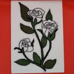 Profile picture of Catima Biersdorff