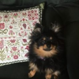 Profile picture of Marie Schneider