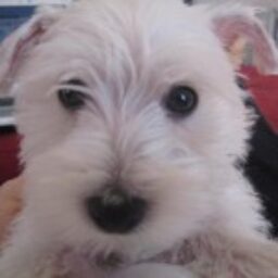 Profile picture of Jeanne Marie Landes