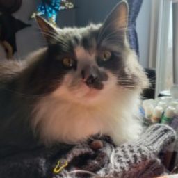 Profile picture of Jessica May