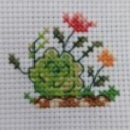 Profile picture of Jaymie Nelson