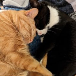 Profile picture of Jennifer Lawley