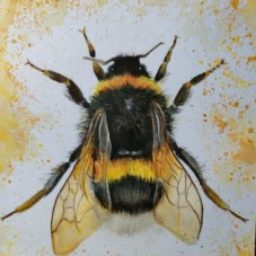 Profile picture of Nicole Jackson