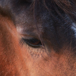 Profile picture of Kim Male