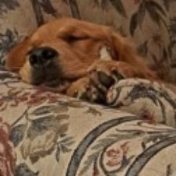 Profile picture of Raven Gregg