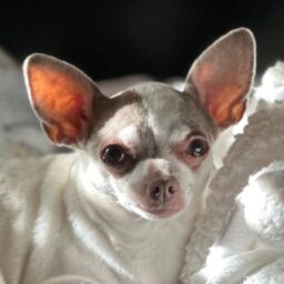 Profile picture of Jennifer Wine