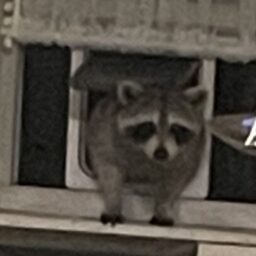 Profile picture of Terrie Rada