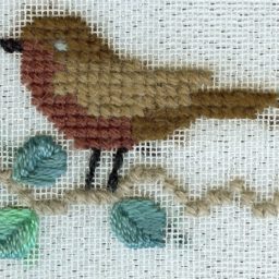 Profile picture of Robin Bayless