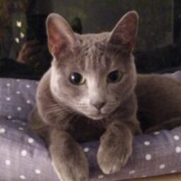 Profile picture of Catherine Warneke