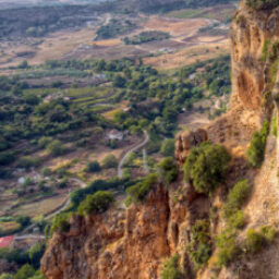 Profile picture of Jackie Hall