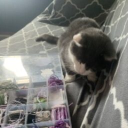 Profile picture of ALEXANDRA Staley