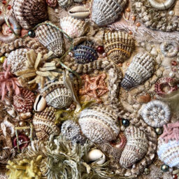 Profile picture of Myra Wood