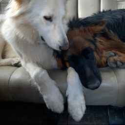 Profile picture of L. Michelle Burton McReynolds