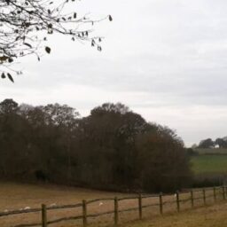 Profile picture of Tuli Whistler