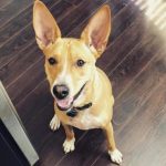 Profile picture of Megan Janesky Janesky