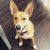 Profile picture of Megan Janesky Janesky