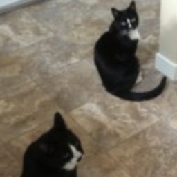 Profile picture of Joan King