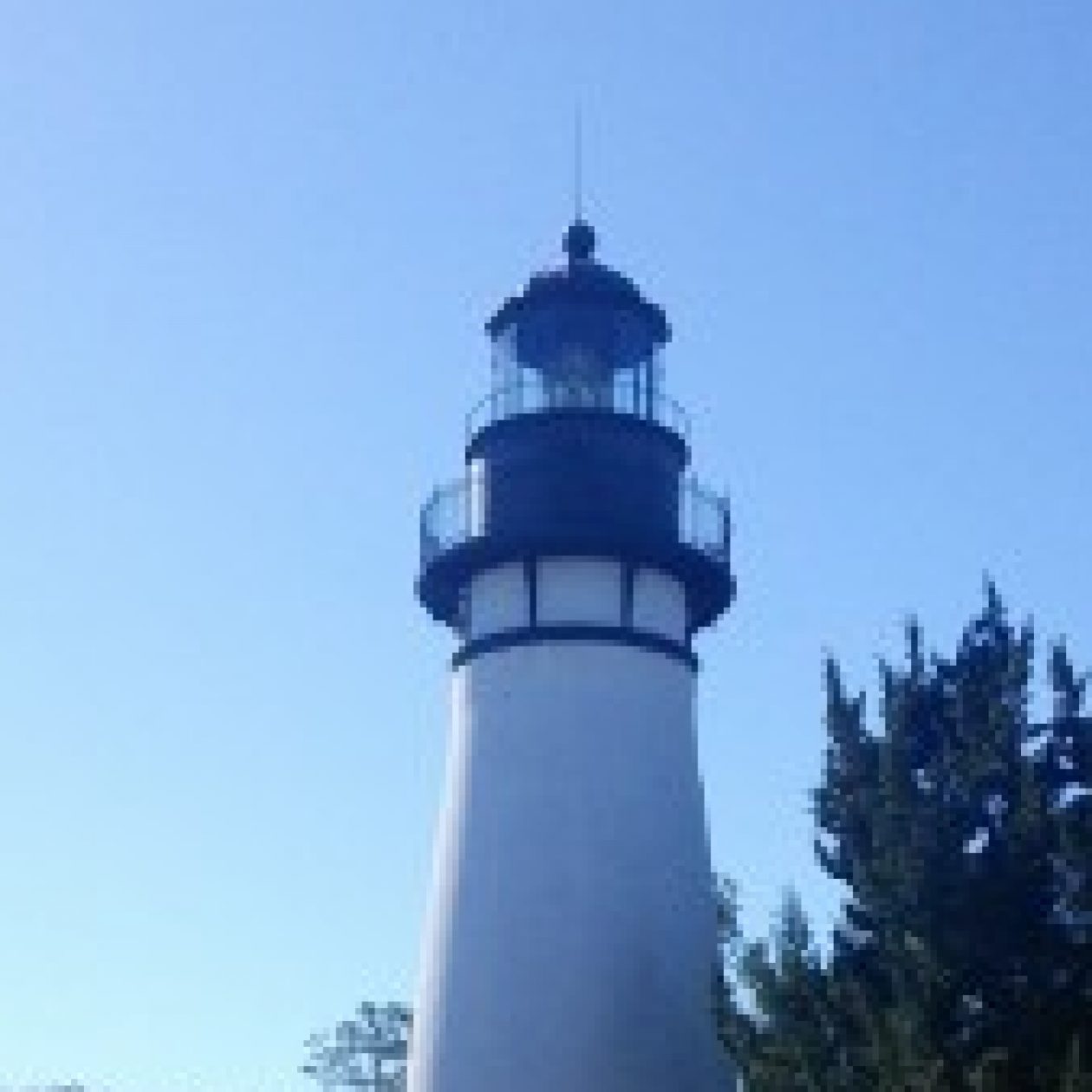 Profile picture of Shirley Grumbine