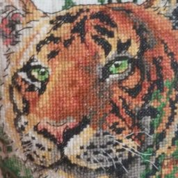 Profile picture of Lisa Epstein