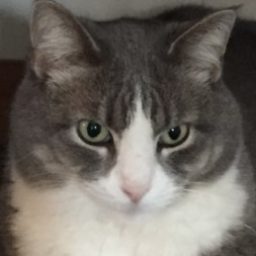 Profile picture of Denise Wiggins