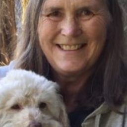 Profile picture of Paula McGinty