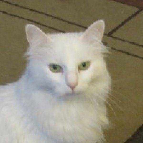 Profile picture of Barbara Downey