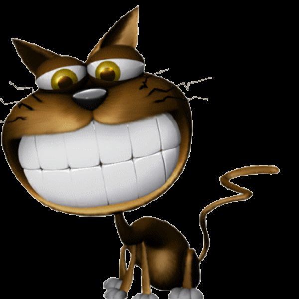 Profile picture of Pat Rushton